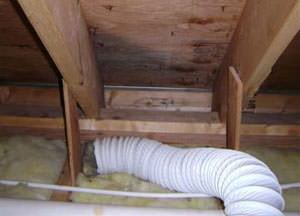 Attic mold problem in a Maryland home