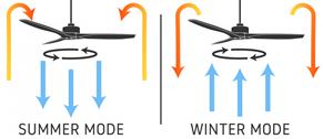 Flip The Switch!