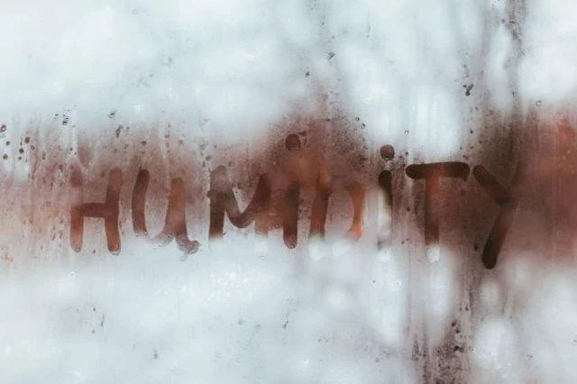 Why YOU Should Own a Dehumidifier