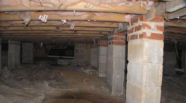What’s in Your Crawl Space?