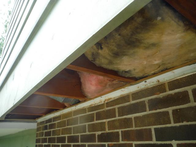 Old BATT Insulation in the Cantilever