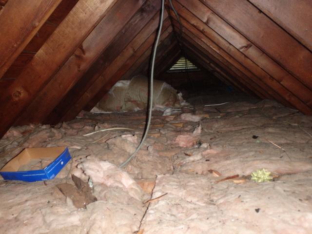 Icky Attic