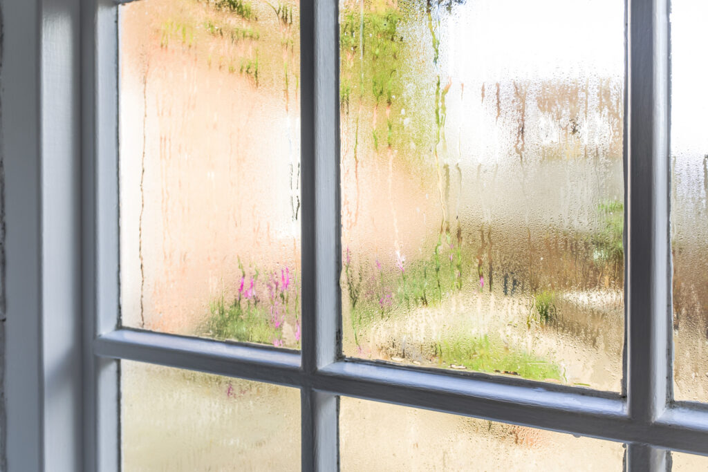 Why Is My House So Humid in Summer? Causes & Whole-Home Fixes